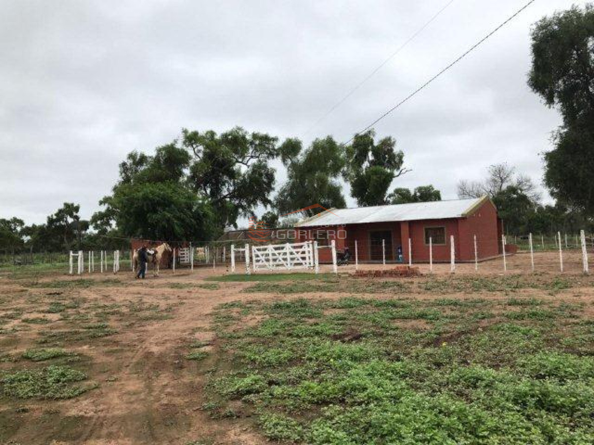 Campo en Argentina   Argentina - GoPunta - Portal Inmobiliario de Punta del Este - Maldonado