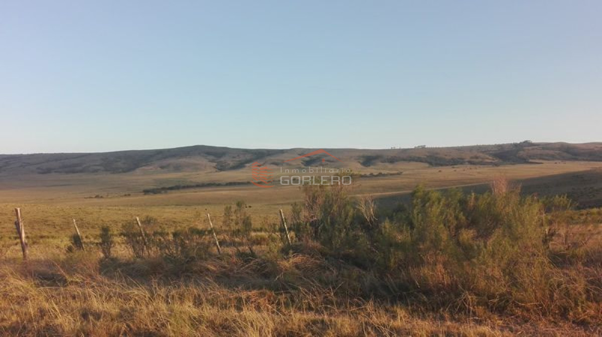 Campo 85 Has a 1 hora de Mdeo y cerca de Ruta 12, Arroyo, Monte Nativo y Vistas Increibles - GoPunta - Portal Inmobiliario de Punta del Este - Maldonado