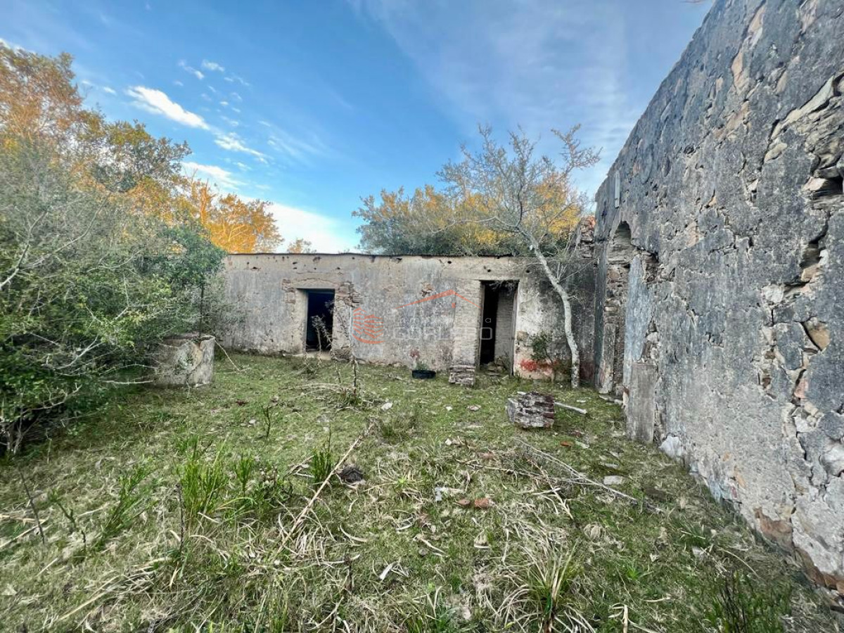 Campo a la venta en Lavalleja a pocos km de Aiguá, 137 hás - GoPunta - Portal Inmobiliario de Punta del Este - Maldonado