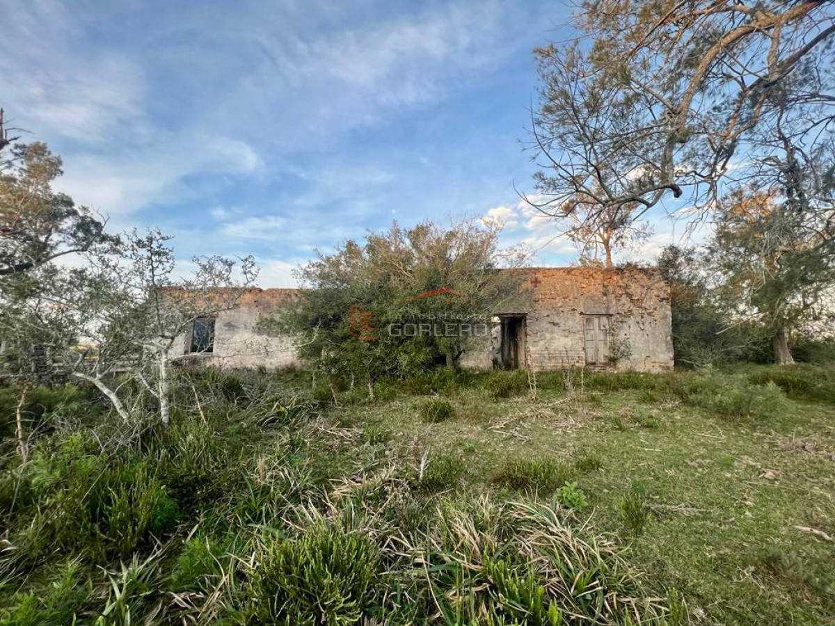 Campo a la venta en Lavalleja a pocos km de Aiguá, 137 hás - GoPunta - Portal Inmobiliario de Punta del Este - Maldonado