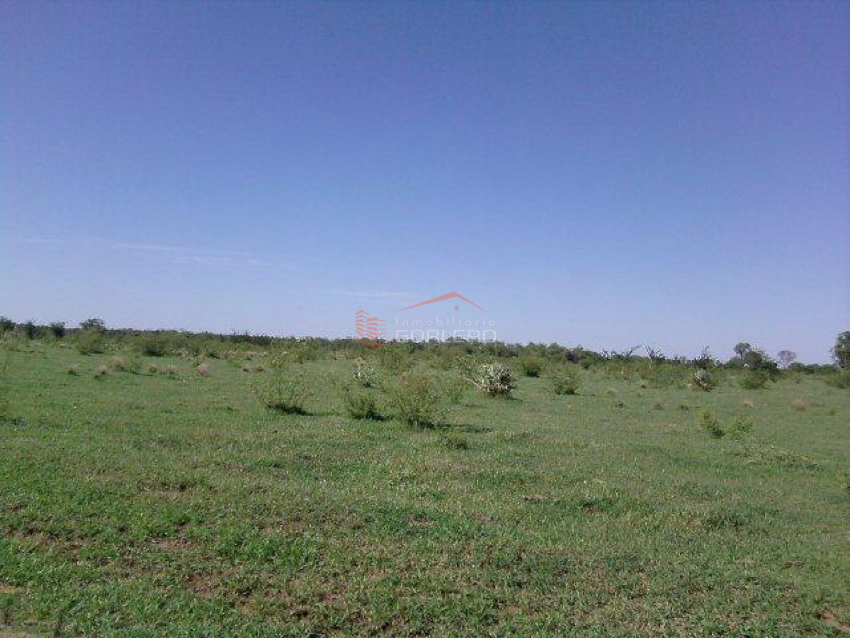 Campo en Argentina   Argentina - GoPunta - Portal Inmobiliario de Punta del Este - Maldonado
