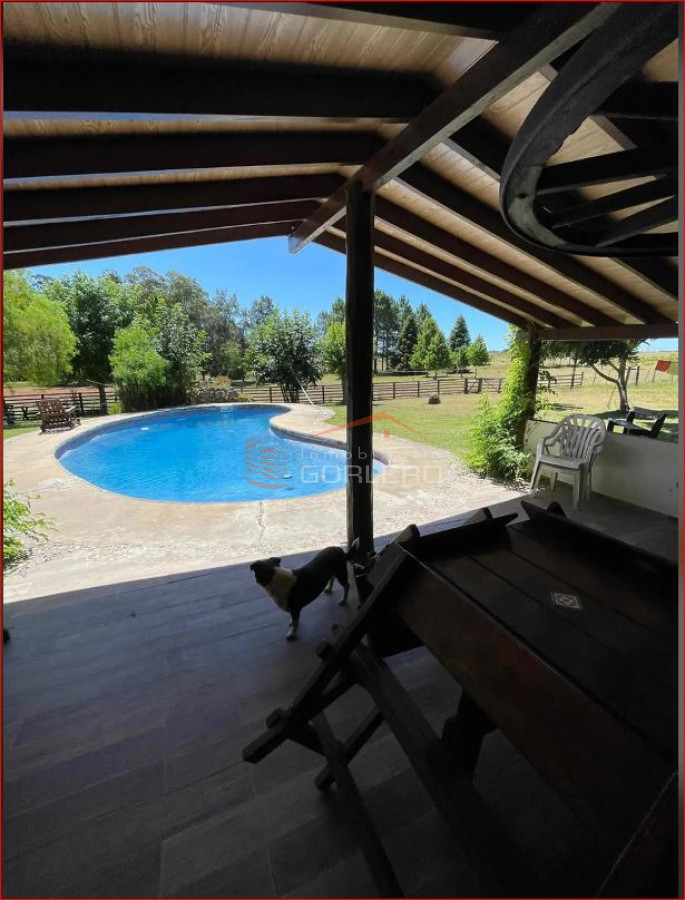 Venta de buen campo con casi 100 hás a 28 km de Punta con gran potencial turístico - GoPunta - Portal Inmobiliario de Punta del Este - Maldonado