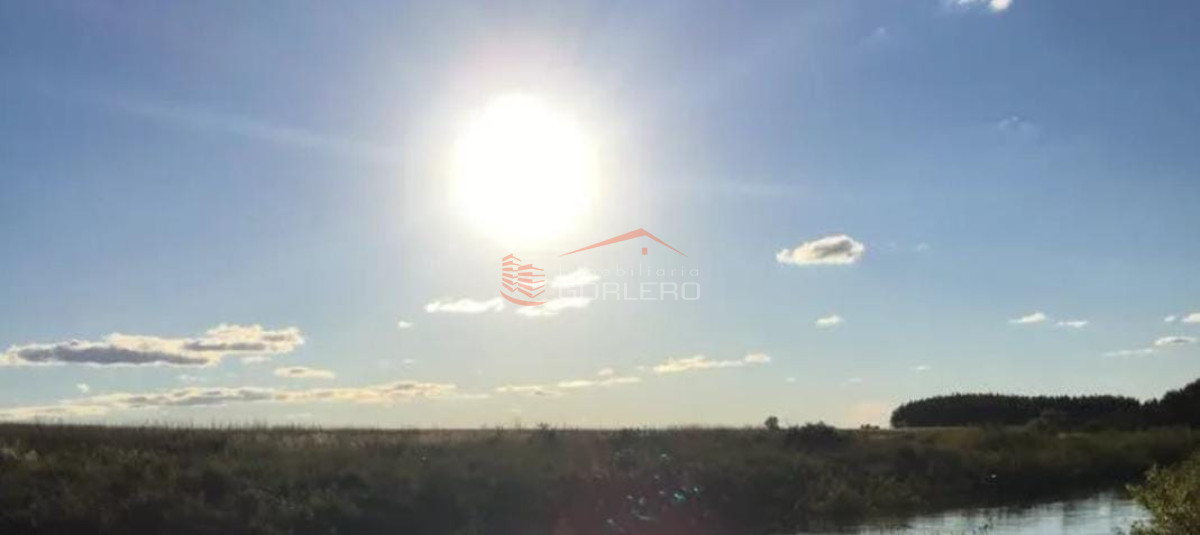 Campo Agricola Ganadero Paysandú de casi 300 Has, bien ubicado y sobre asfalto - GoPunta - Portal Inmobiliario de Punta del Este - Maldonado