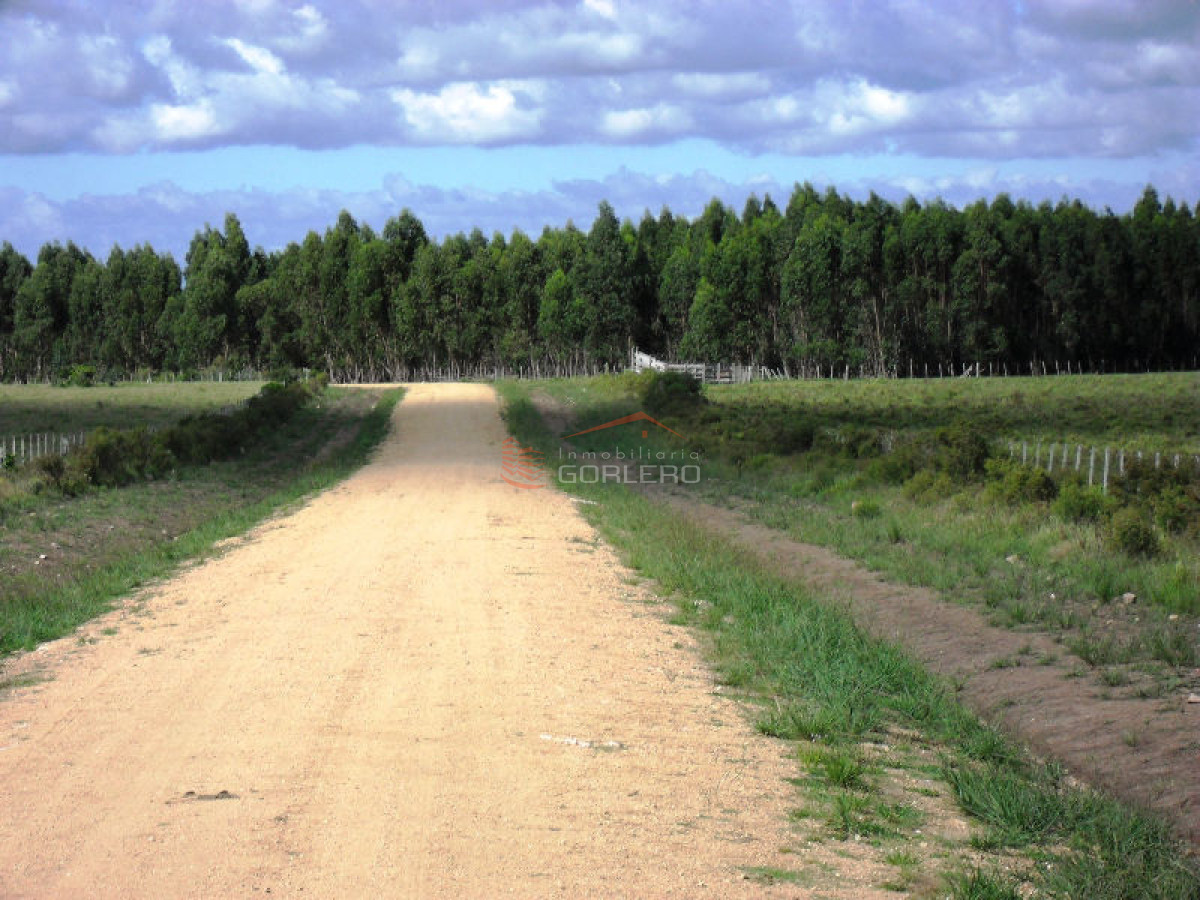 Campo en Uruguay, Garzón - GoPunta - Portal Inmobiliario de Punta del Este - Maldonado