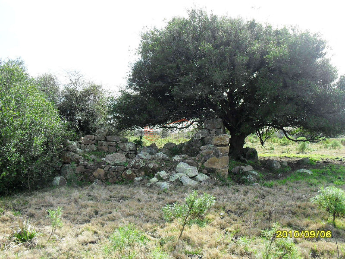 Campo en Uruguay, Garzón - GoPunta - Portal Inmobiliario de Punta del Este - Maldonado