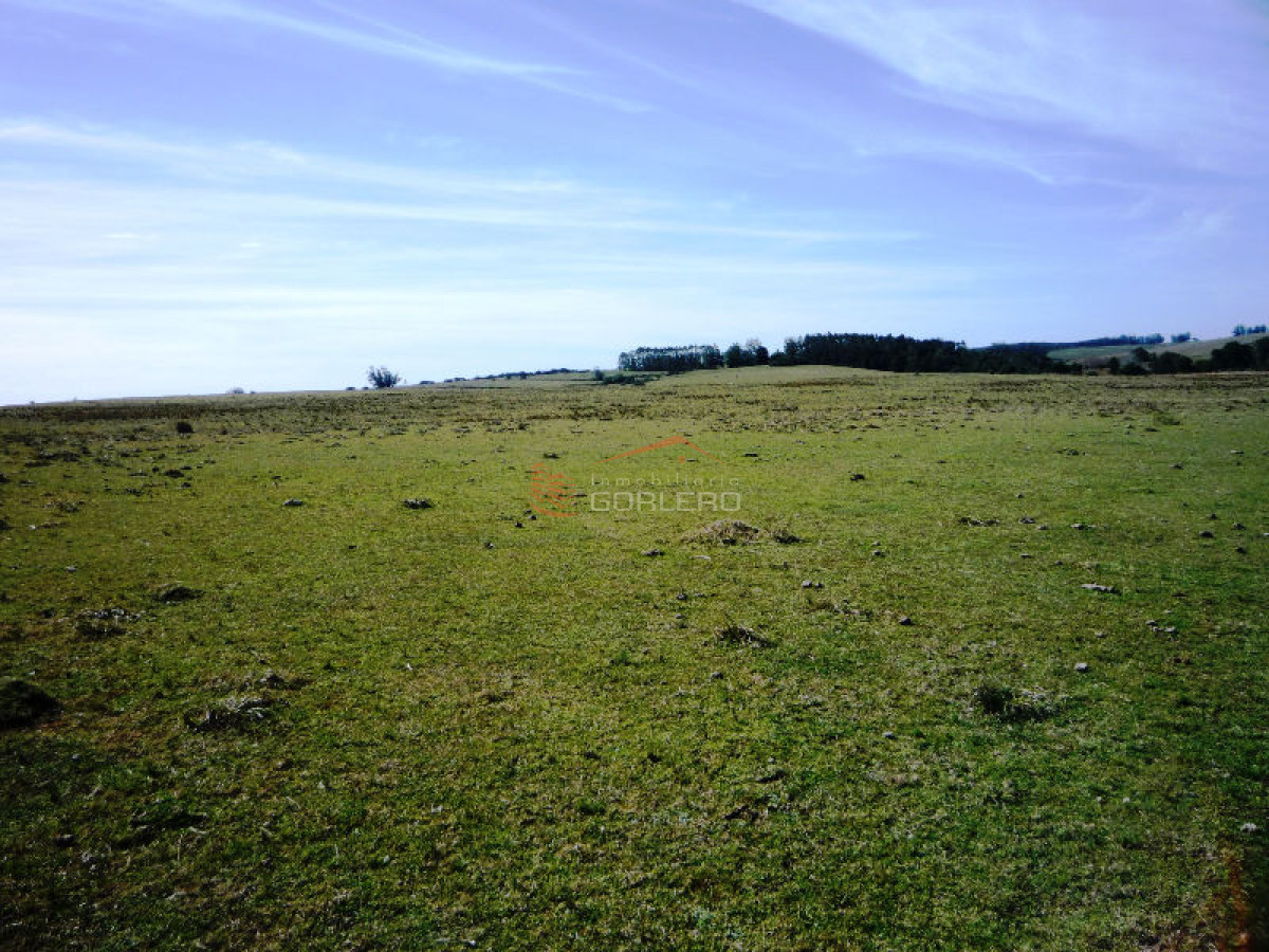 Campo en Uruguay, Garzón - GoPunta - Portal Inmobiliario de Punta del Este - Maldonado