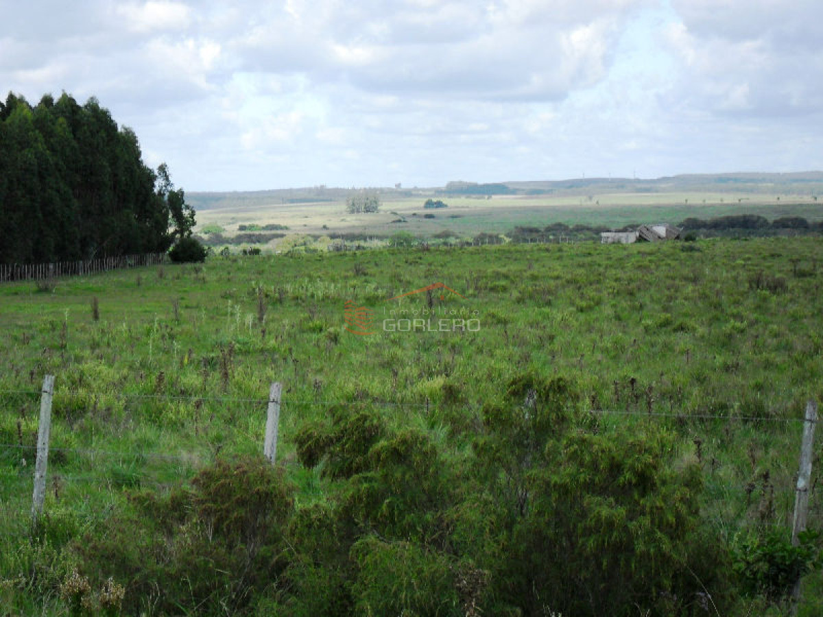 Campo en Uruguay, Garzón - GoPunta - Portal Inmobiliario de Punta del Este - Maldonado