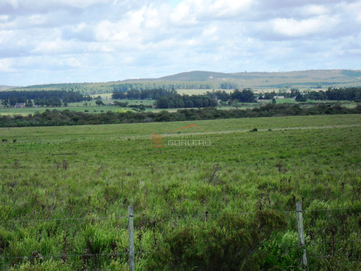 Campo en Uruguay, Garzón - GoPunta - Portal Inmobiliario de Punta del Este - Maldonado
