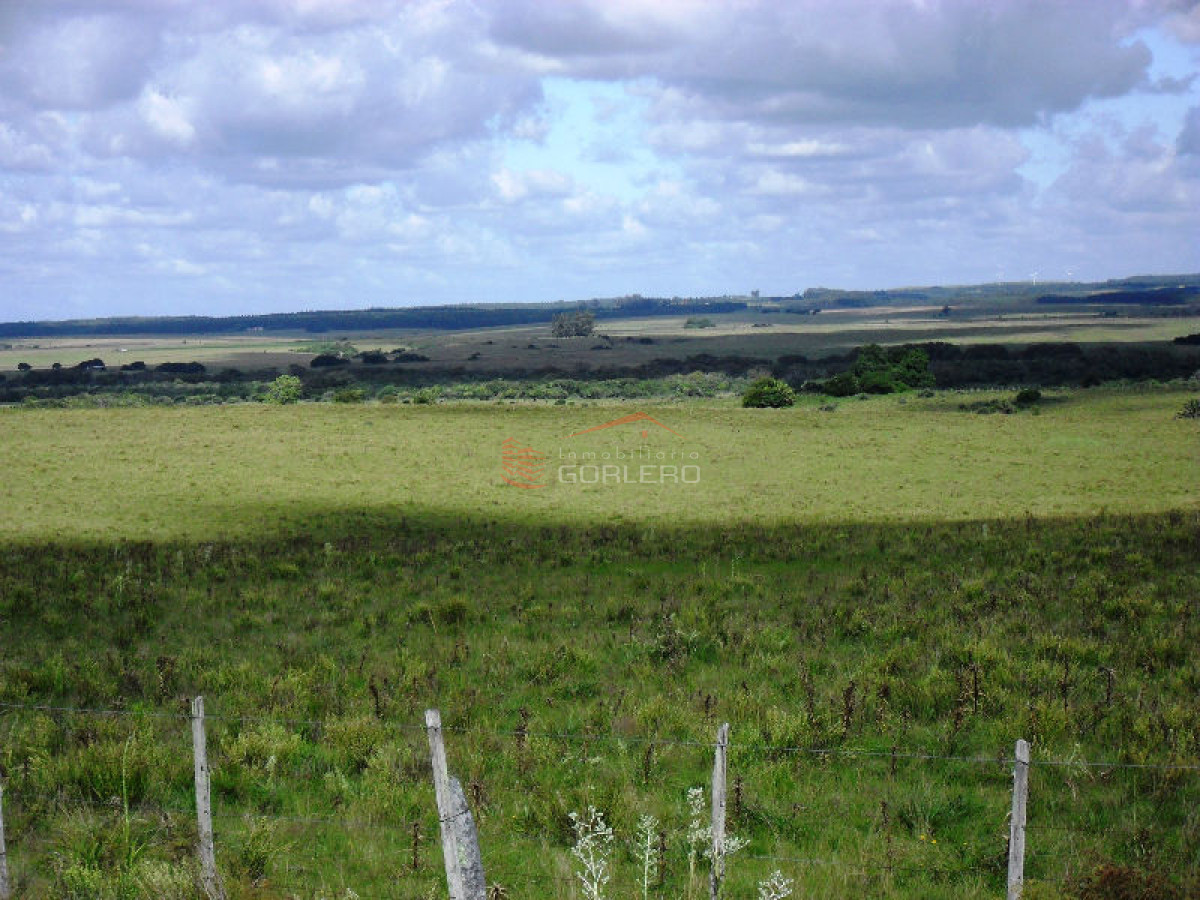 Campo en Uruguay, Garzón - GoPunta - Portal Inmobiliario de Punta del Este - Maldonado