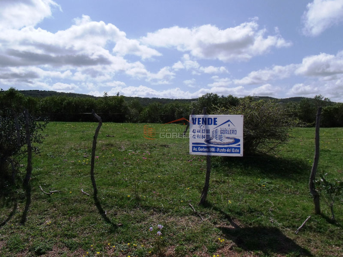 CAMPO EN URUGUAY , GARZON - GoPunta - Portal Inmobiliario de Punta del Este - Maldonado