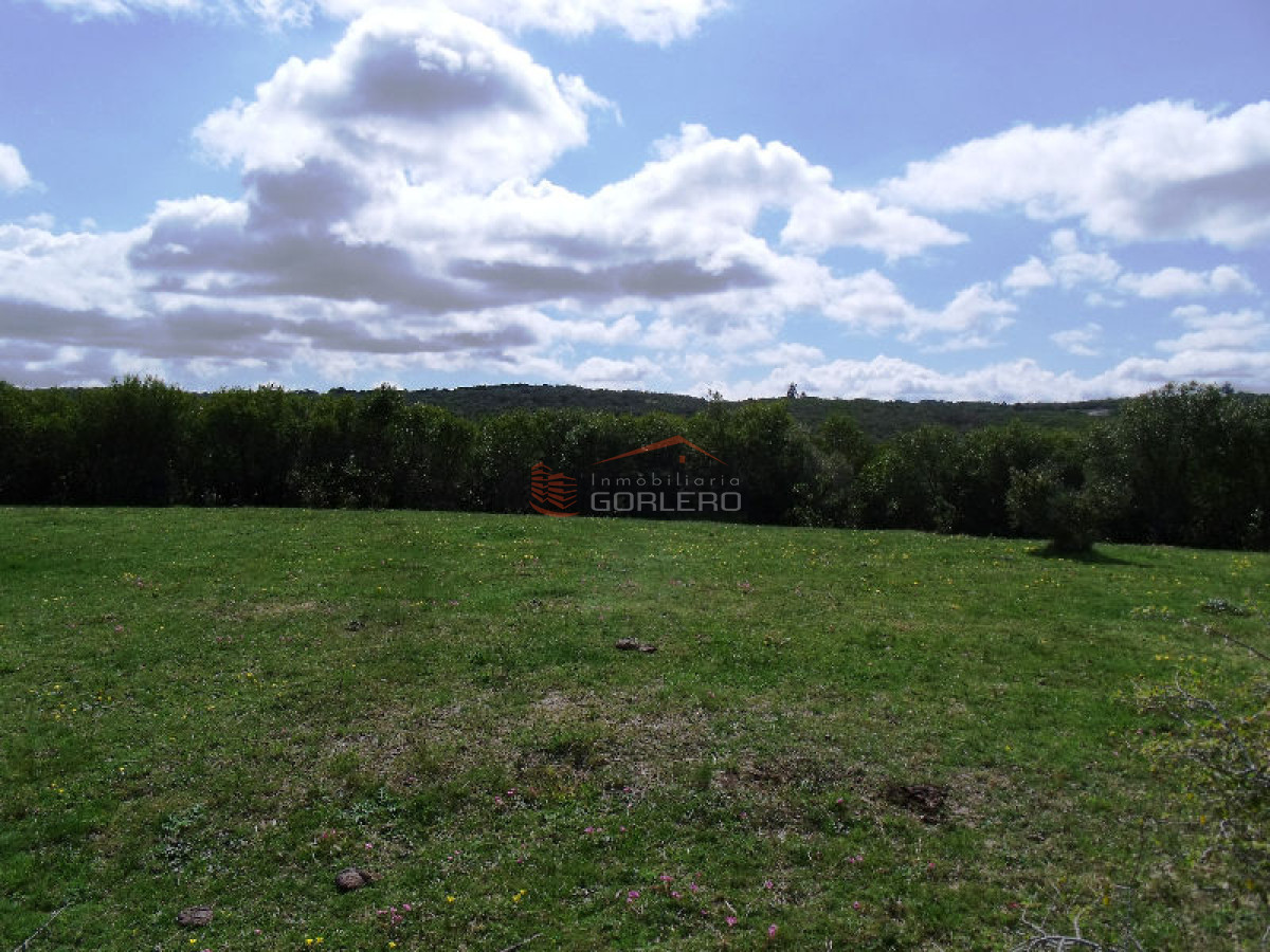 CAMPO EN URUGUAY , GARZON - GoPunta - Portal Inmobiliario de Punta del Este - Maldonado