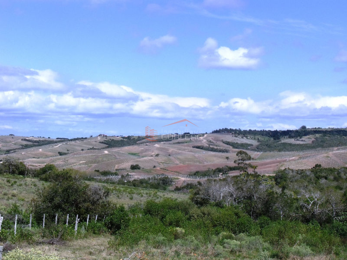 CAMPO EN URUGUAY , GARZON - GoPunta - Portal Inmobiliario de Punta del Este - Maldonado