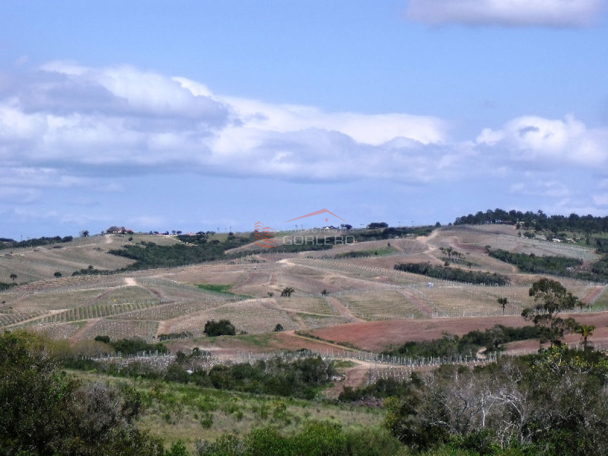 CAMPO EN URUGUAY , GARZON - GoPunta - Portal Inmobiliario de Punta del Este - Maldonado