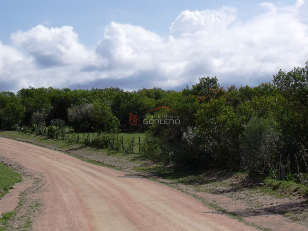 CAMPO EN URUGUAY , GARZON - GoPunta - Portal Inmobiliario de Punta del Este - Maldonado