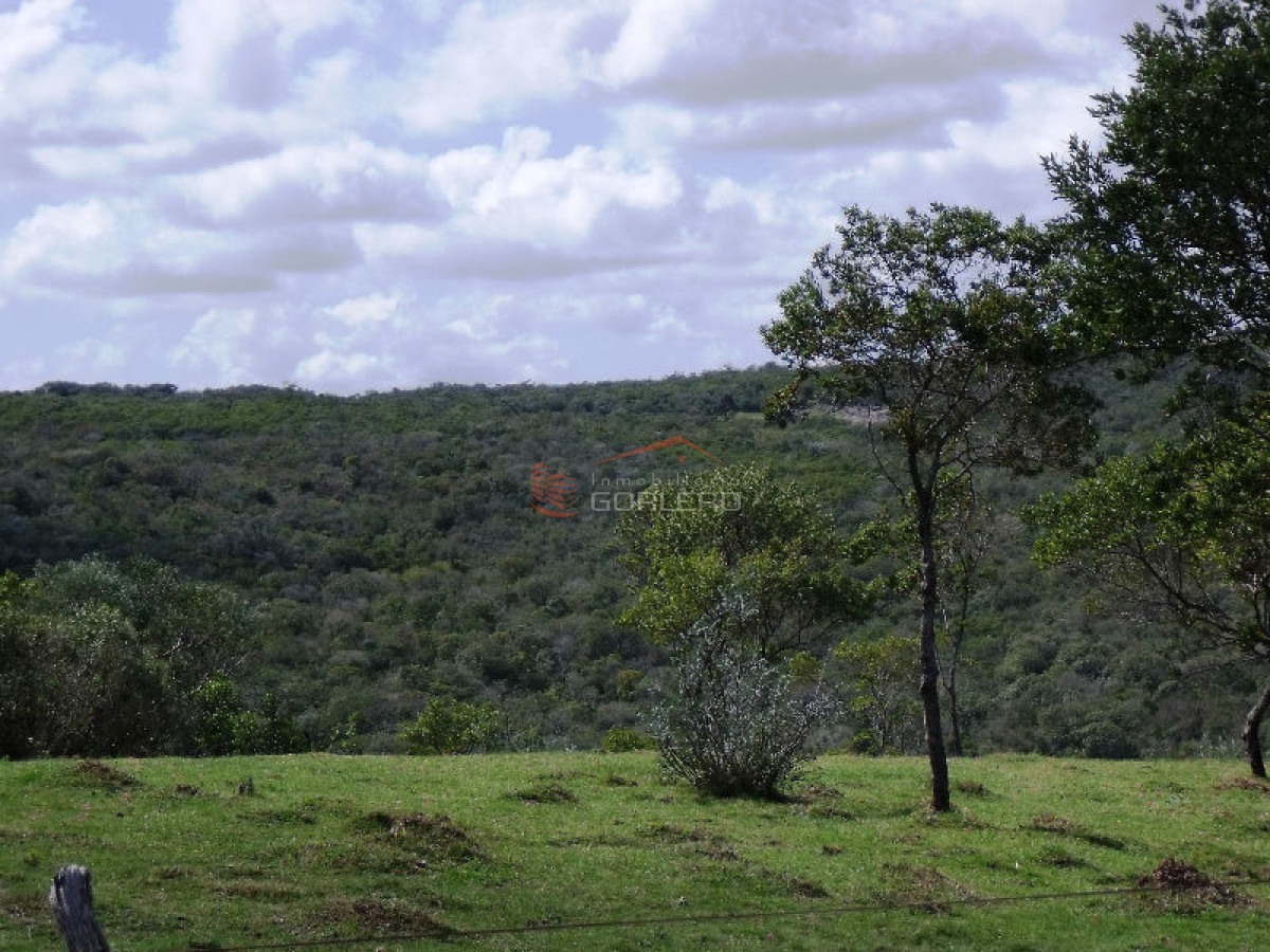 CAMPO EN URUGUAY , GARZON - GoPunta - Portal Inmobiliario de Punta del Este - Maldonado