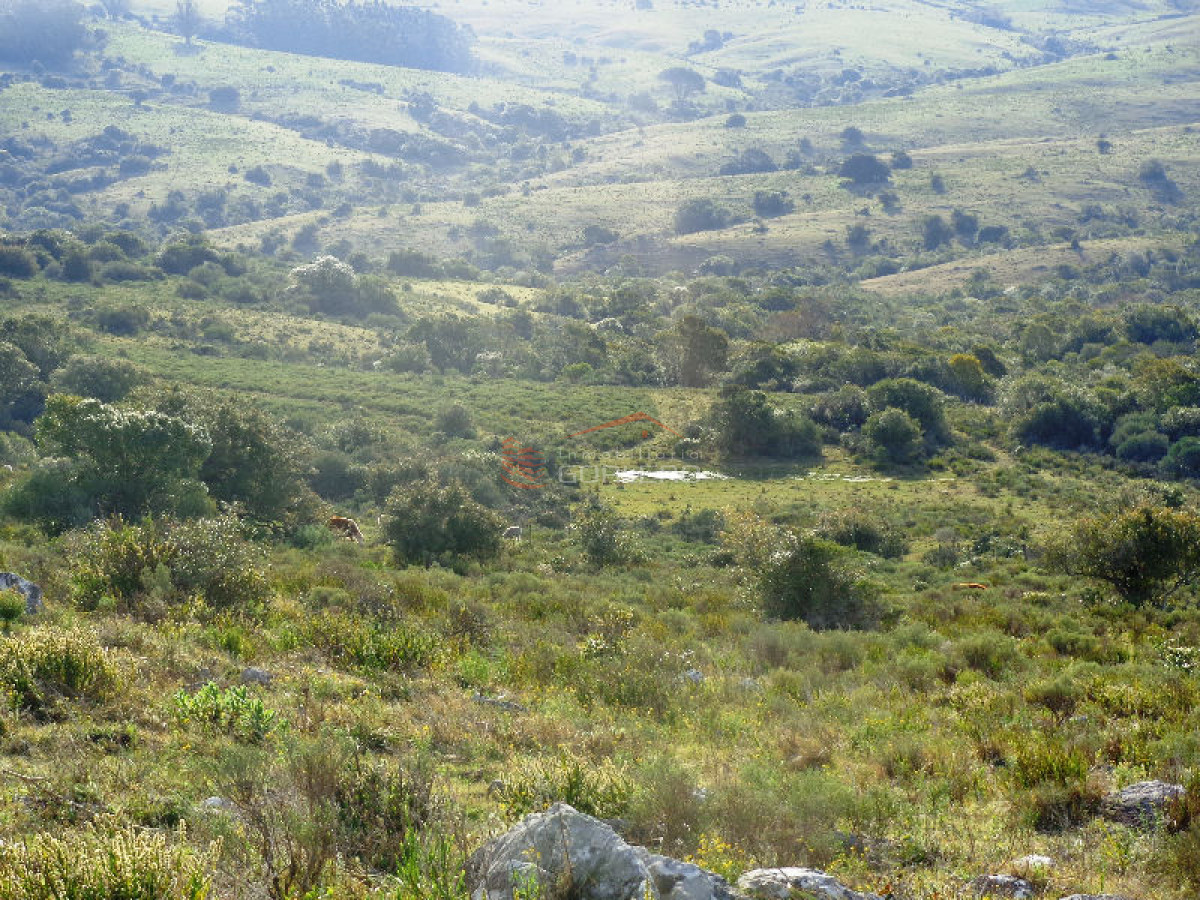RUTA 12, a pocos kms por buen camino. Fraccion de 36 hás con espectacular vista, muy panoramica. Ideal fraccionamiento, o similar. - GoPunta - Portal Inmobiliario de Punta del Este - Maldonado
