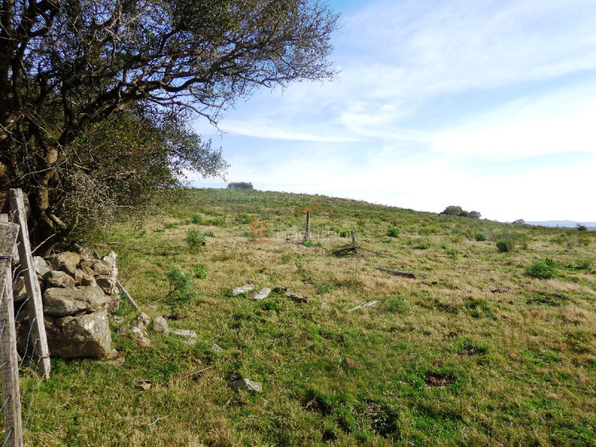 RUTA 12, a pocos kms por buen camino. Fraccion de 36 hás con espectacular vista, muy panoramica. Ideal fraccionamiento, o similar. - GoPunta - Portal Inmobiliario de Punta del Este - Maldonado