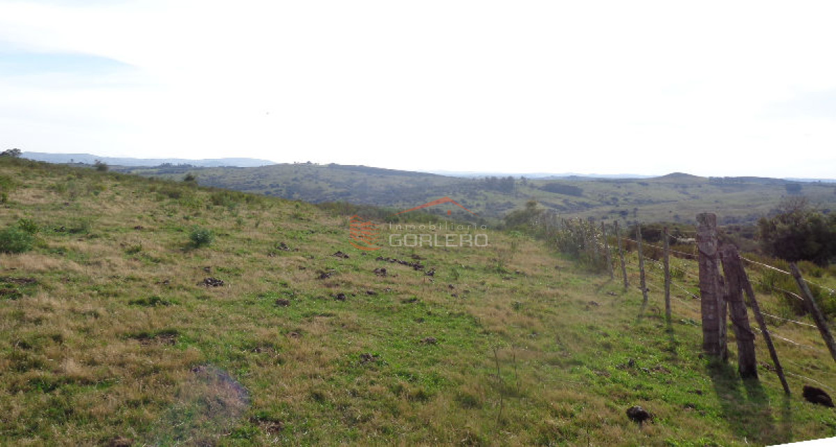 RUTA 12, a pocos kms por buen camino. Fraccion de 36 hás con espectacular vista, muy panoramica. Ideal fraccionamiento, o similar. - GoPunta - Portal Inmobiliario de Punta del Este - Maldonado