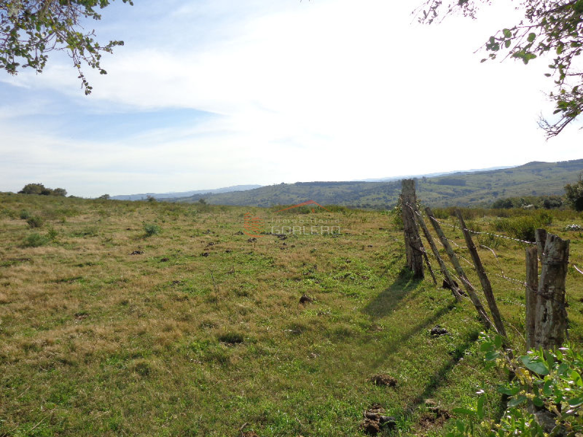 RUTA 12, a pocos kms por buen camino. Fraccion de 36 hás con espectacular vista, muy panoramica. Ideal fraccionamiento, o similar. - GoPunta - Portal Inmobiliario de Punta del Este - Maldonado
