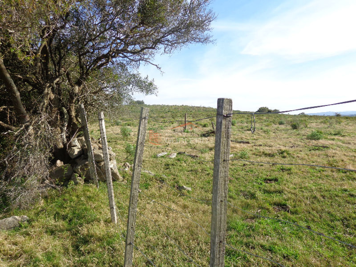 RUTA 12, a pocos kms por buen camino. Fraccion de 36 hás con espectacular vista, muy panoramica. Ideal fraccionamiento, o similar. - GoPunta - Portal Inmobiliario de Punta del Este - Maldonado