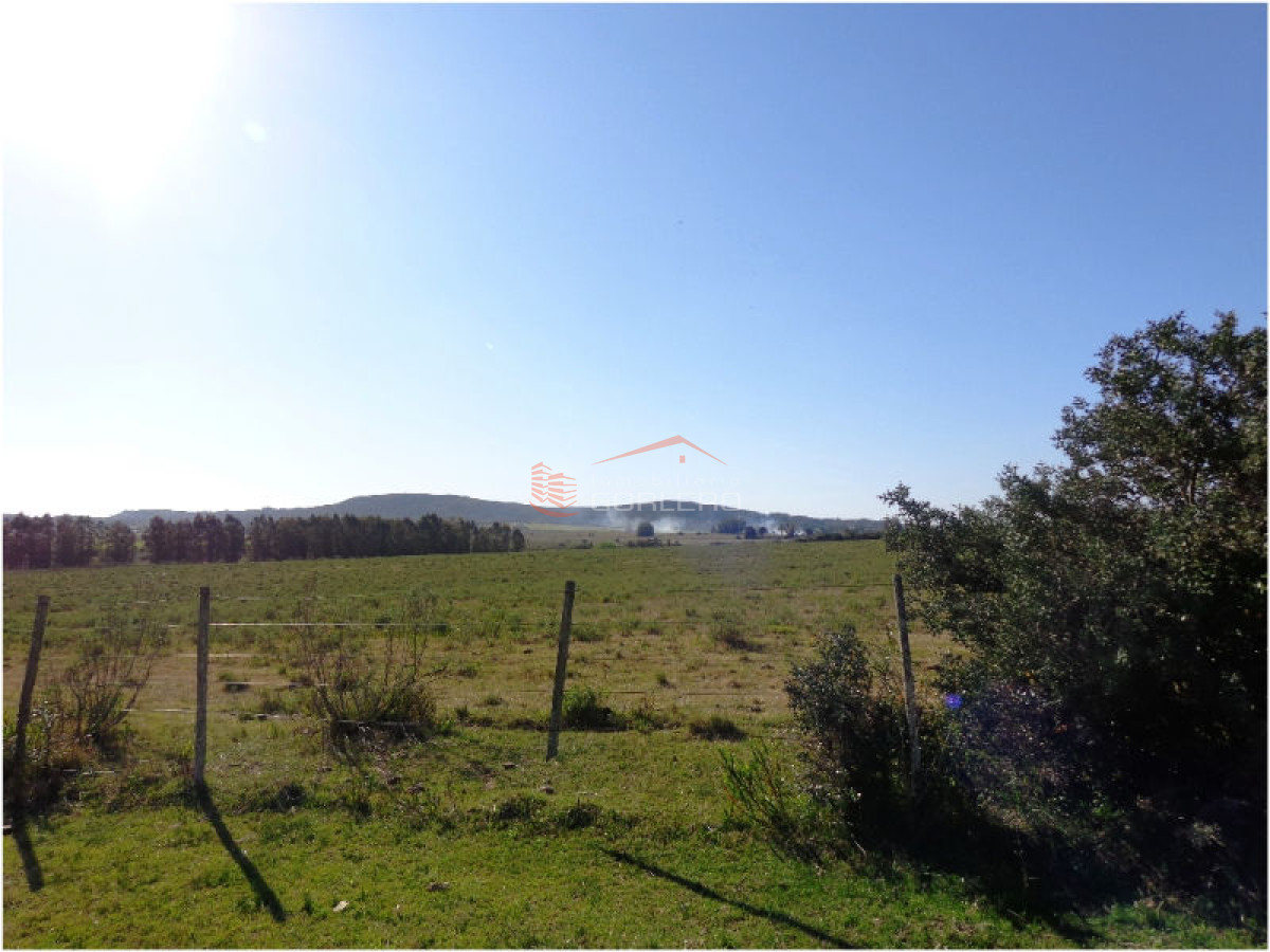 Campo en Uruguay, Ruta 12, Pueblo Edén - GoPunta - Portal Inmobiliario de Punta del Este - Maldonado