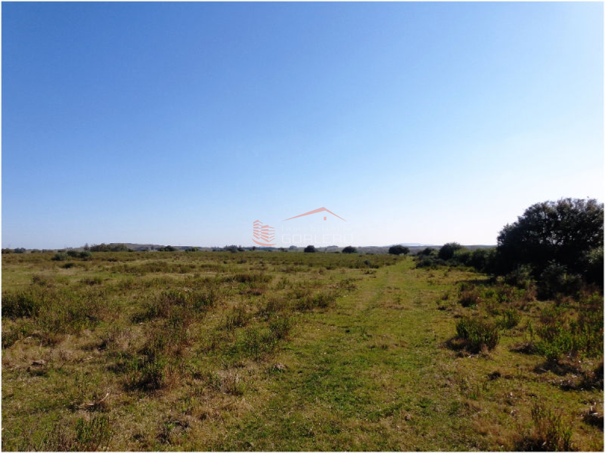 Campo en Uruguay, Ruta 12, Pueblo Edén - GoPunta - Portal Inmobiliario de Punta del Este - Maldonado