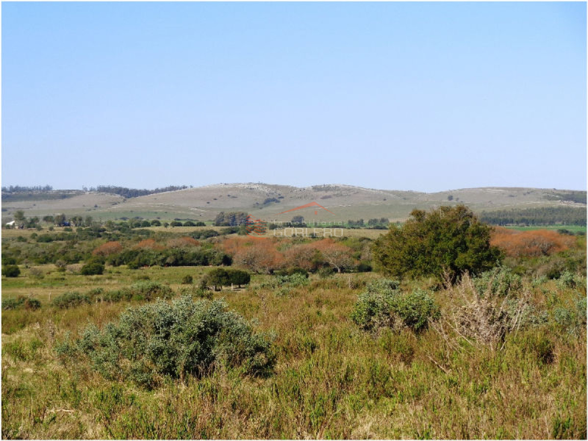 Campo en Uruguay, Ruta 12, Pueblo Edén - GoPunta - Portal Inmobiliario de Punta del Este - Maldonado