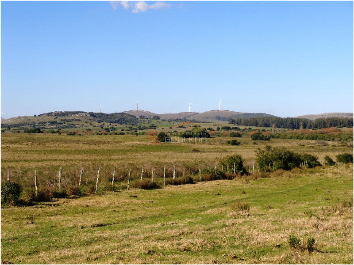 Campo en Uruguay, Ruta 12, Pueblo Edén - GoPunta - Portal Inmobiliario de Punta del Este - Maldonado