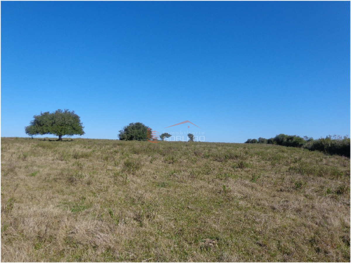 Campo en Uruguay, Ruta 12, Pueblo Edén - GoPunta - Portal Inmobiliario de Punta del Este - Maldonado