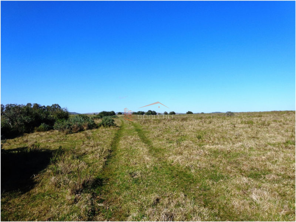 Campo en Uruguay, Ruta 12, Pueblo Edén - GoPunta - Portal Inmobiliario de Punta del Este - Maldonado