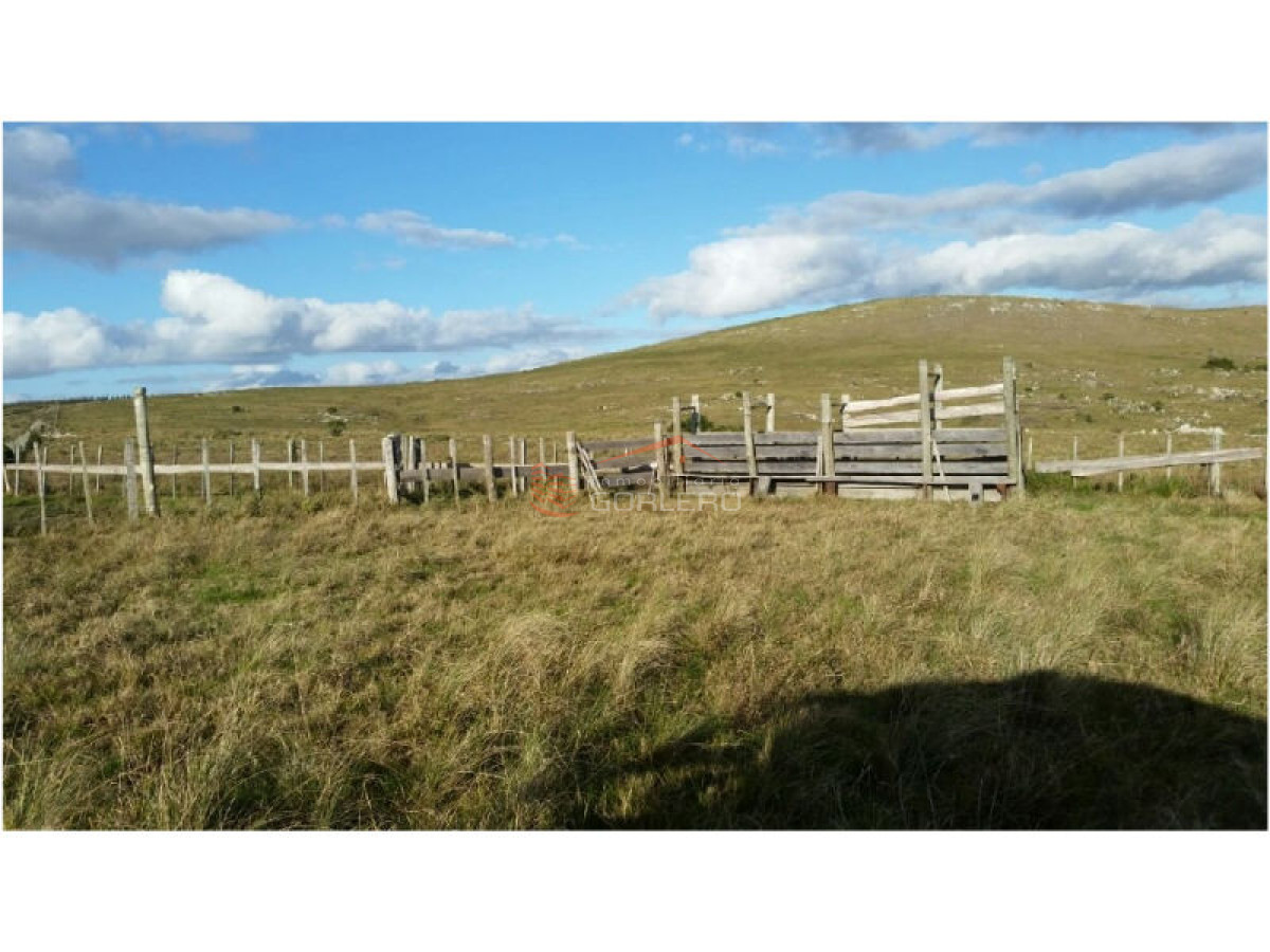 Campo en Venta en  Maldonado - GoPunta - Portal Inmobiliario de Punta del Este - Maldonado