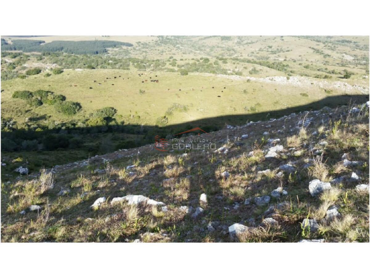 Campo en Venta en  Maldonado - GoPunta - Portal Inmobiliario de Punta del Este - Maldonado