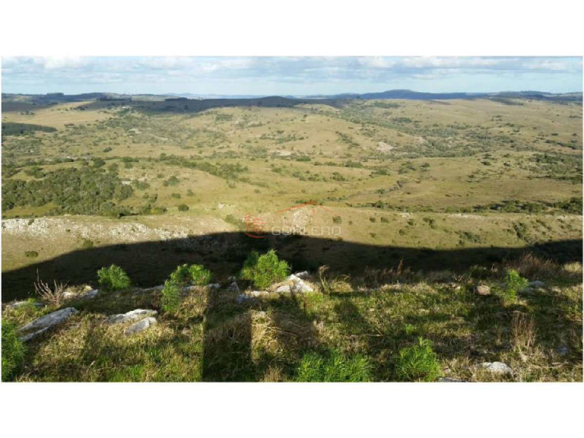 Campo en Venta en  Maldonado - GoPunta - Portal Inmobiliario de Punta del Este - Maldonado