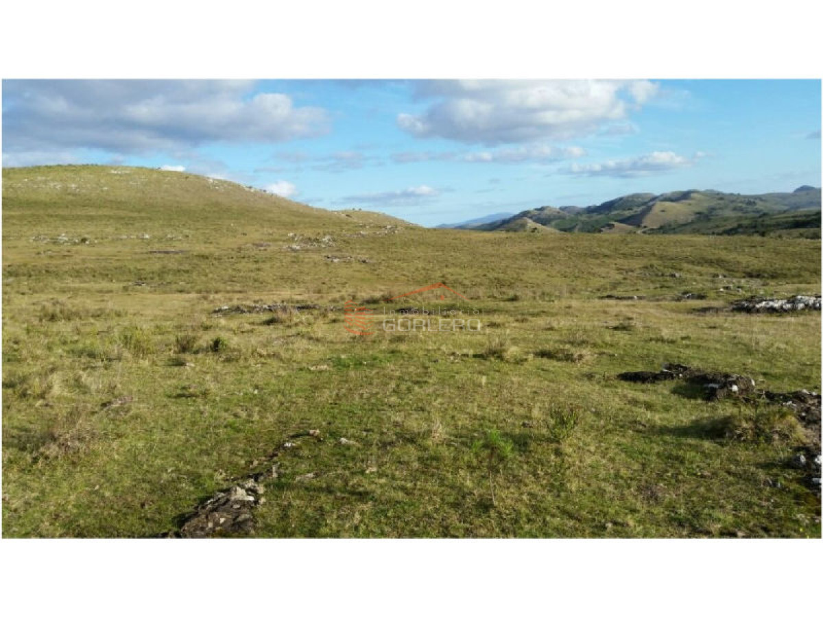 Campo en Venta en  Maldonado - GoPunta - Portal Inmobiliario de Punta del Este - Maldonado