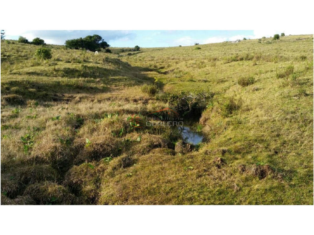 Campo en Venta en  Maldonado - GoPunta - Portal Inmobiliario de Punta del Este - Maldonado