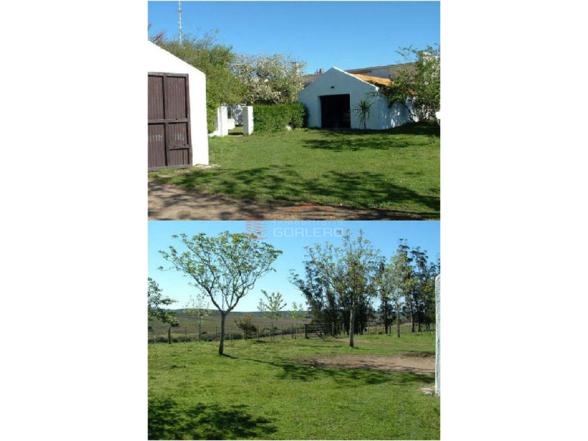 Campo en Uruguay, Rocha - GoPunta - Portal Inmobiliario de Punta del Este - Maldonado