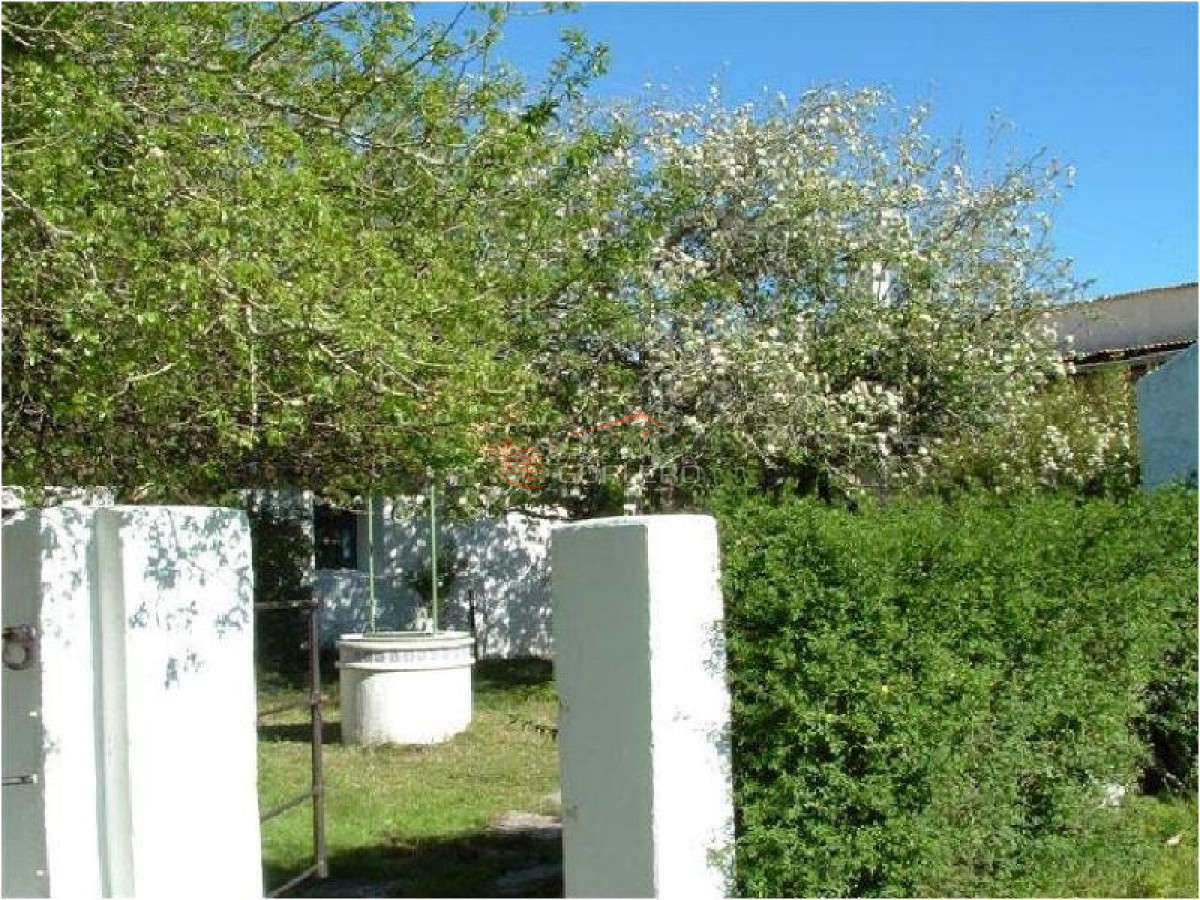 Campo en Uruguay, Rocha - GoPunta - Portal Inmobiliario de Punta del Este - Maldonado