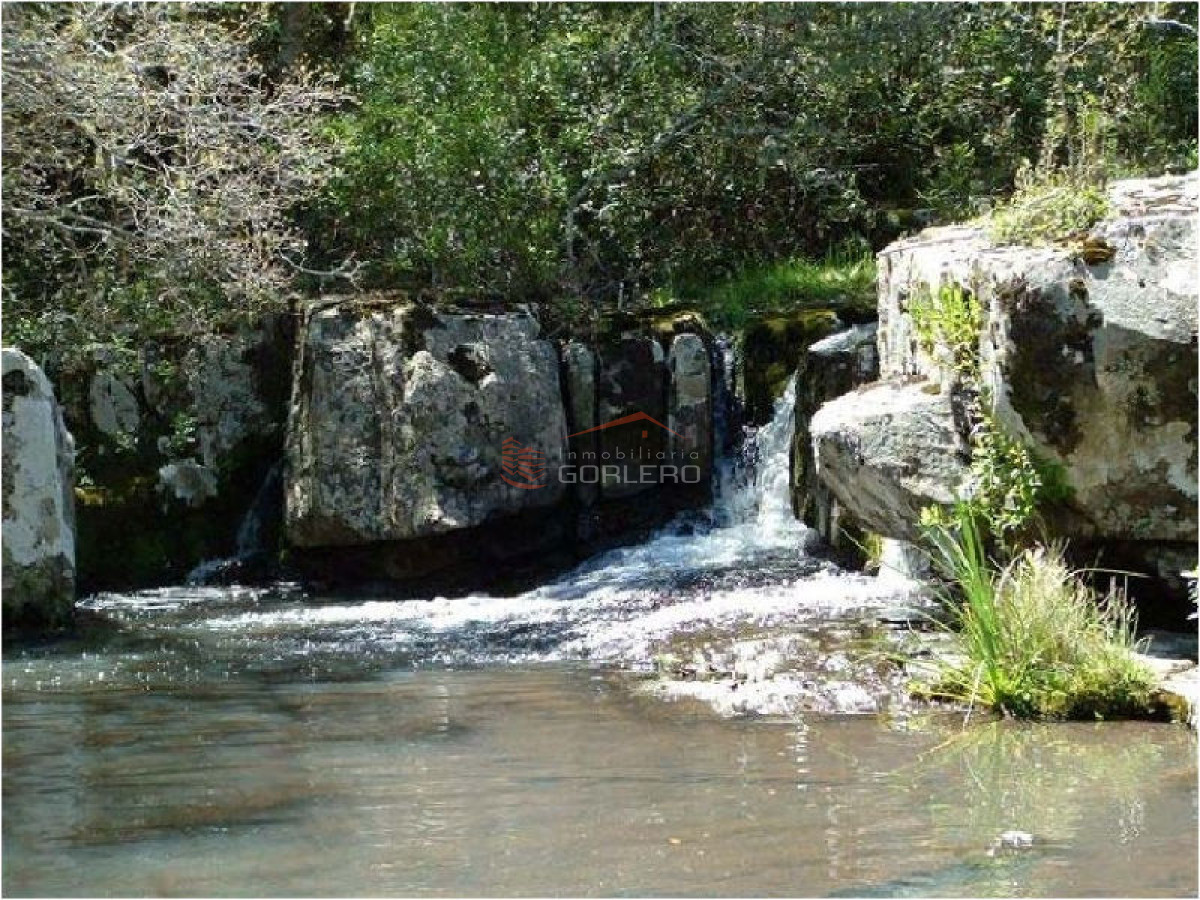 Campo en Uruguay, Rocha - GoPunta - Portal Inmobiliario de Punta del Este - Maldonado