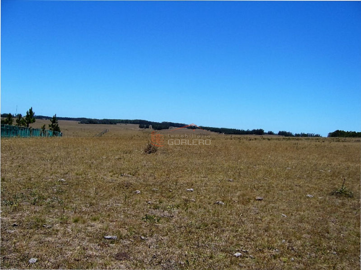 Campo en Uruguay, José Ignacio - GoPunta - Portal Inmobiliario de Punta del Este - Maldonado