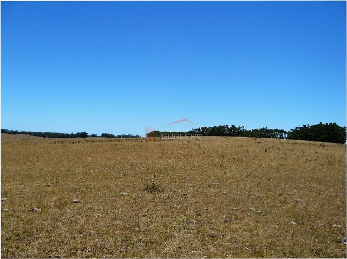 Campo en Uruguay, José Ignacio - GoPunta - Portal Inmobiliario de Punta del Este - Maldonado
