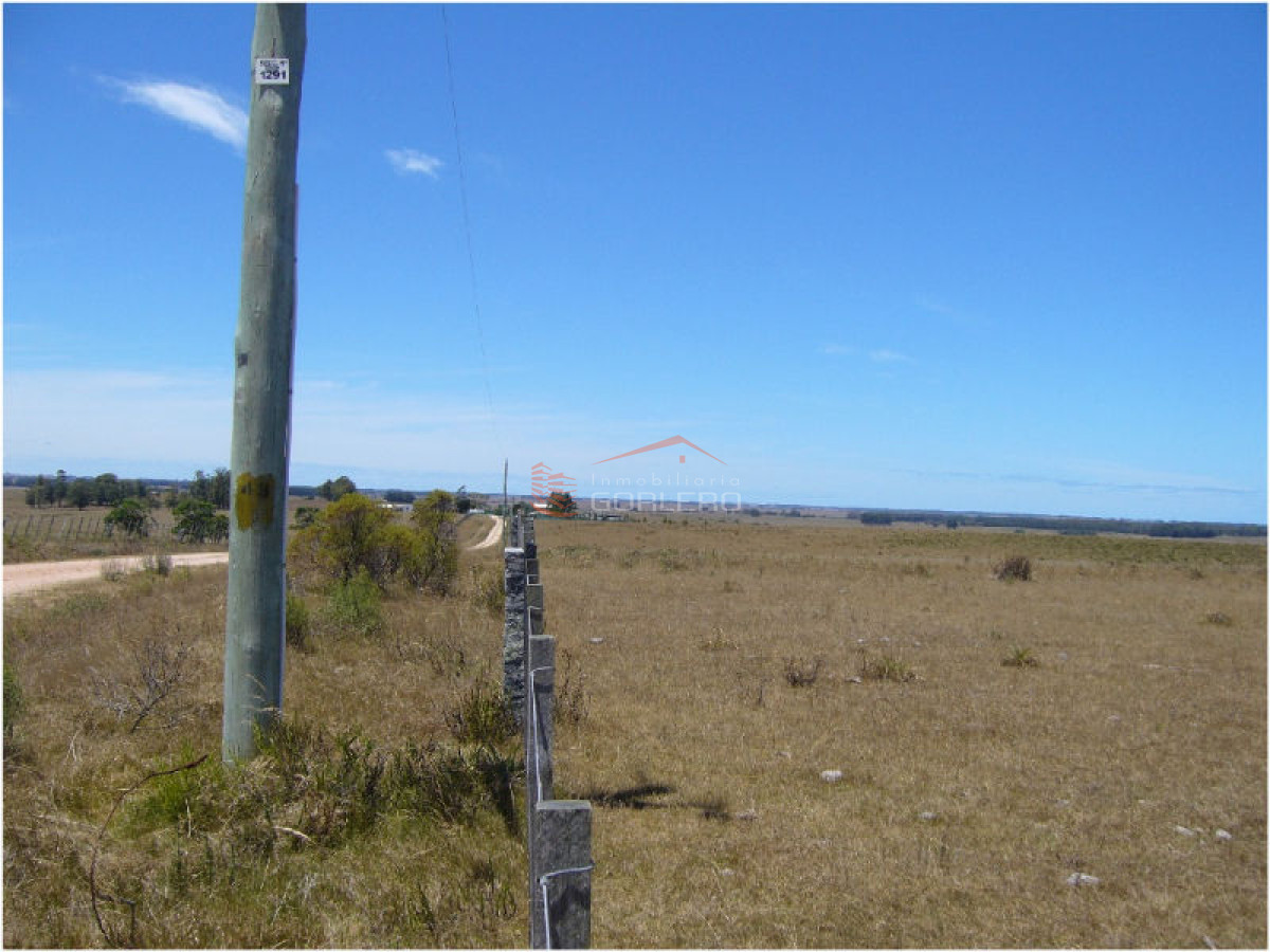 Campo en Uruguay, José Ignacio - GoPunta - Portal Inmobiliario de Punta del Este - Maldonado
