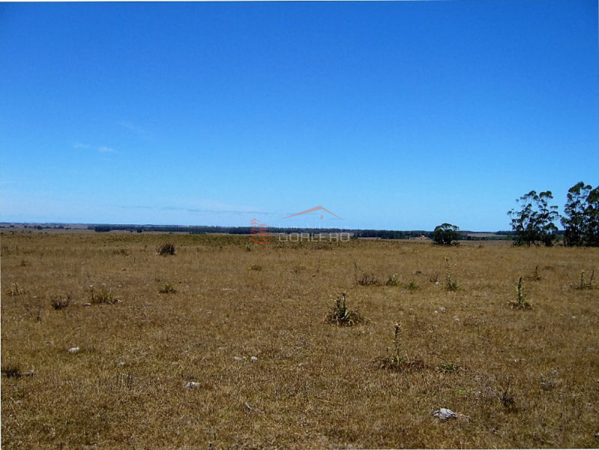 Campo en Uruguay, José Ignacio - GoPunta - Portal Inmobiliario de Punta del Este - Maldonado