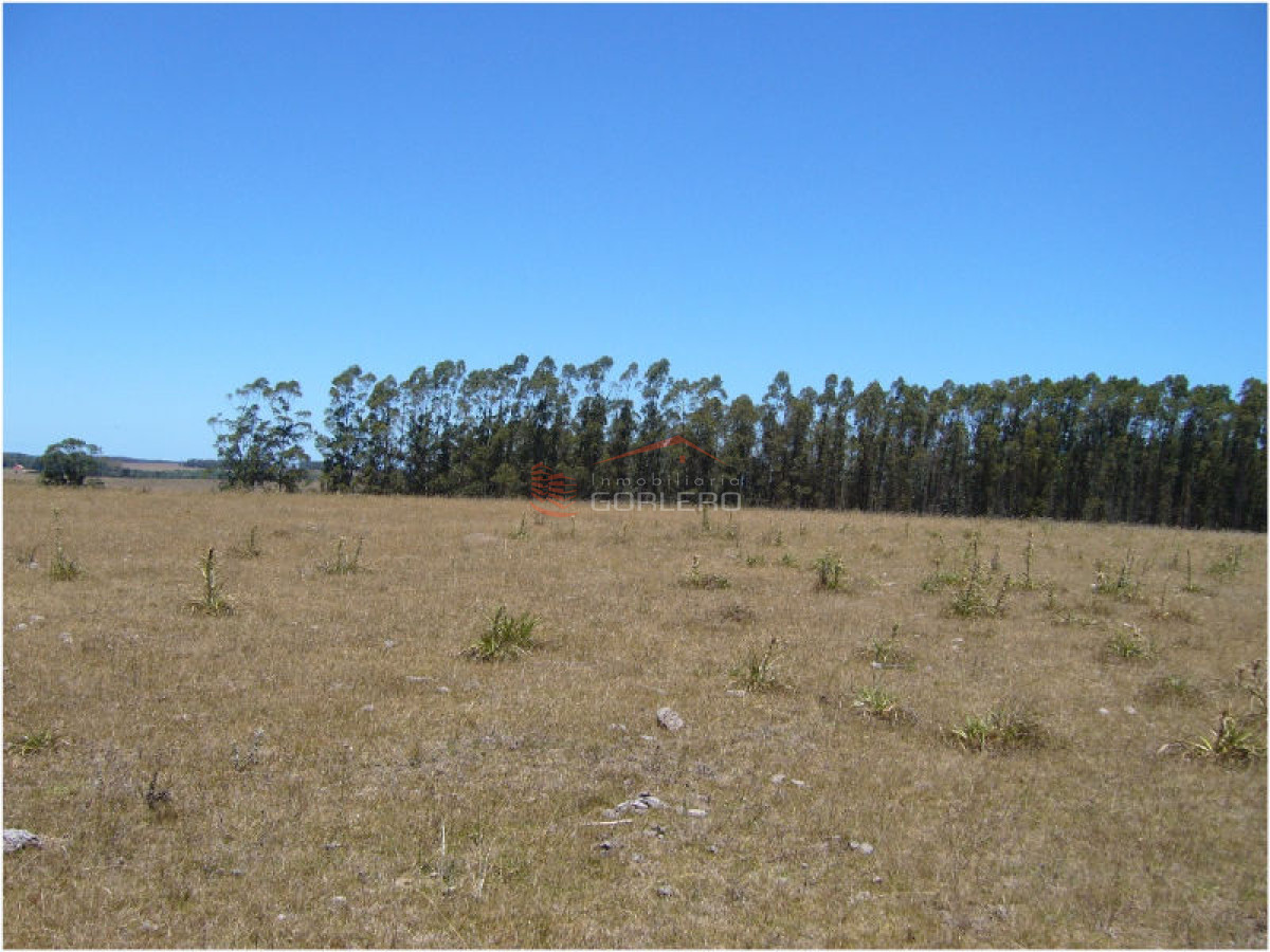 Campo en Uruguay, José Ignacio - GoPunta - Portal Inmobiliario de Punta del Este - Maldonado