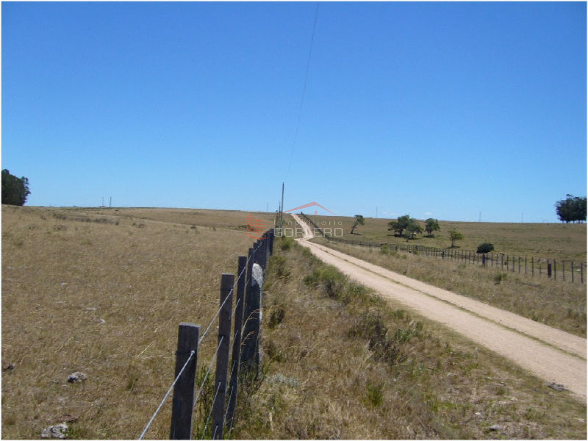 Campo en Uruguay, José Ignacio - GoPunta - Portal Inmobiliario de Punta del Este - Maldonado