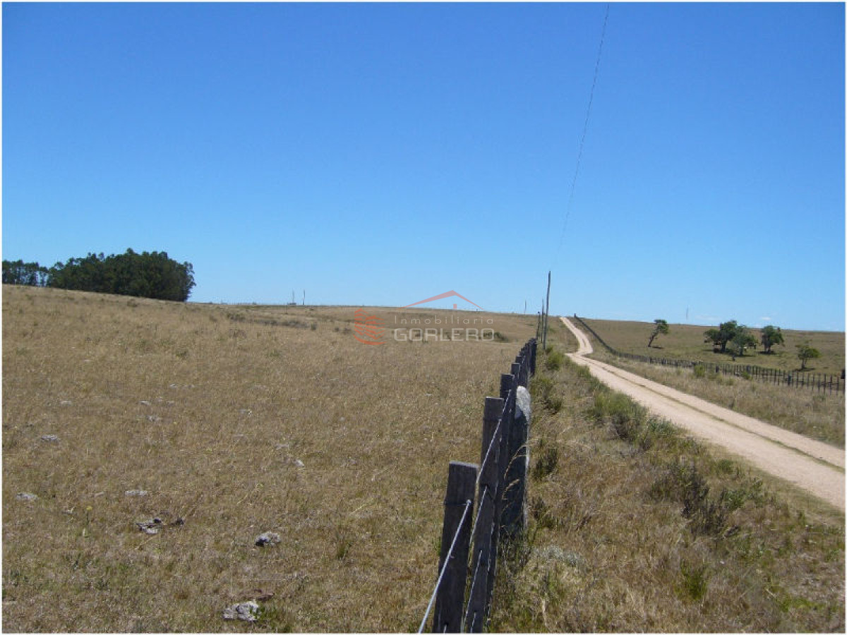 Campo en Uruguay, José Ignacio - GoPunta - Portal Inmobiliario de Punta del Este - Maldonado