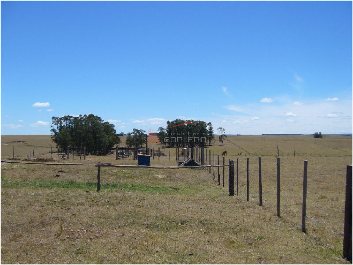 Campo en Uruguay, José Ignacio - GoPunta - Portal Inmobiliario de Punta del Este - Maldonado