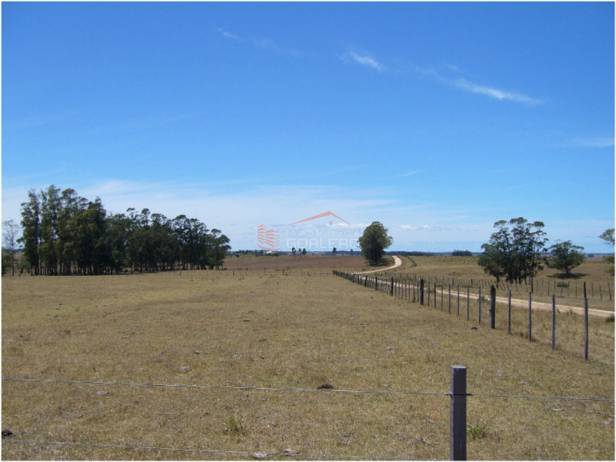 Campo en Uruguay, José Ignacio - GoPunta - Portal Inmobiliario de Punta del Este - Maldonado