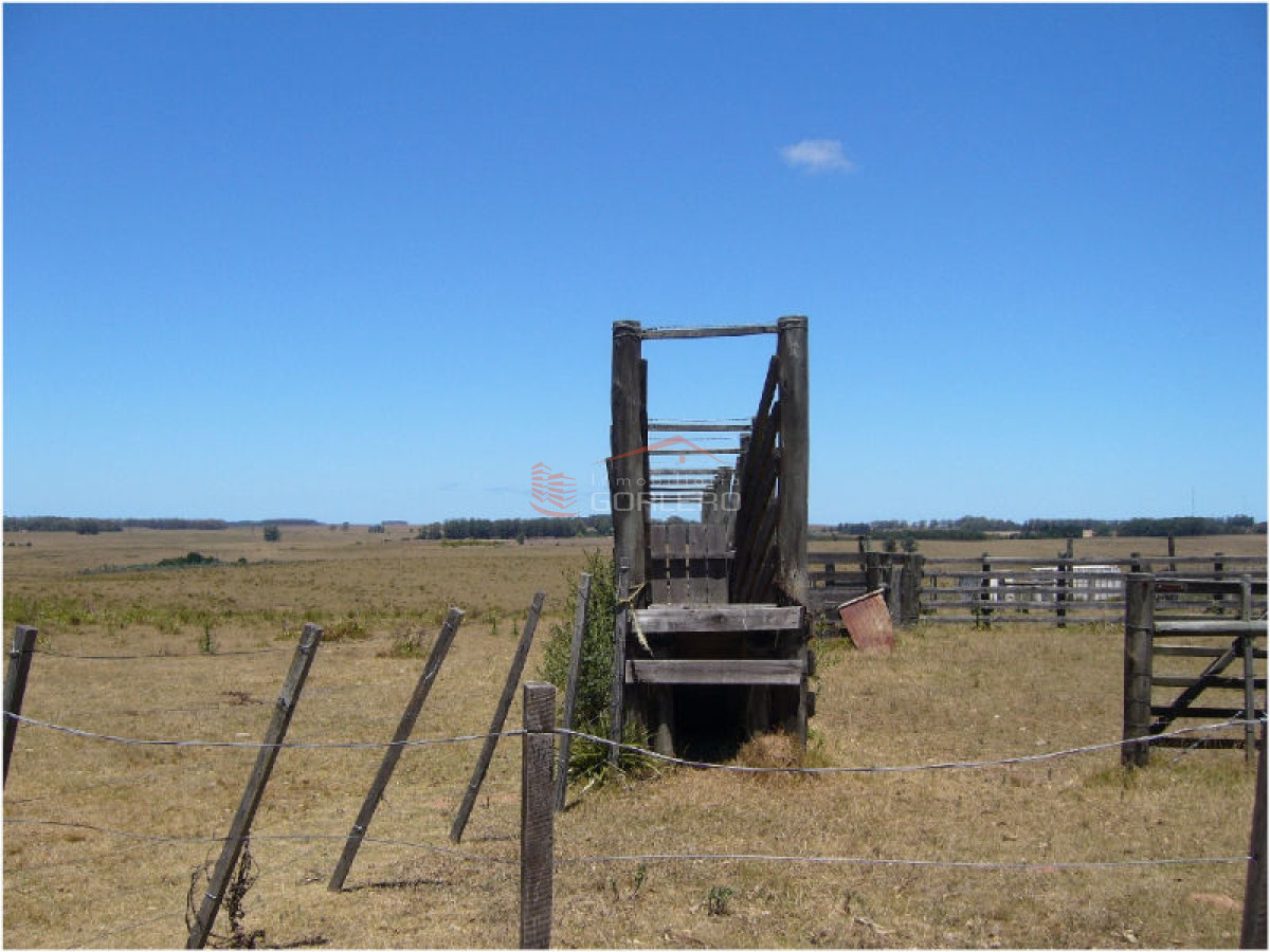 Campo en Uruguay, José Ignacio - GoPunta - Portal Inmobiliario de Punta del Este - Maldonado