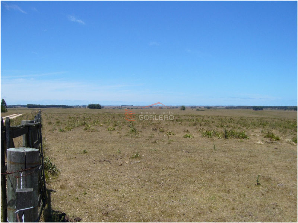 Campo en Uruguay, José Ignacio - GoPunta - Portal Inmobiliario de Punta del Este - Maldonado