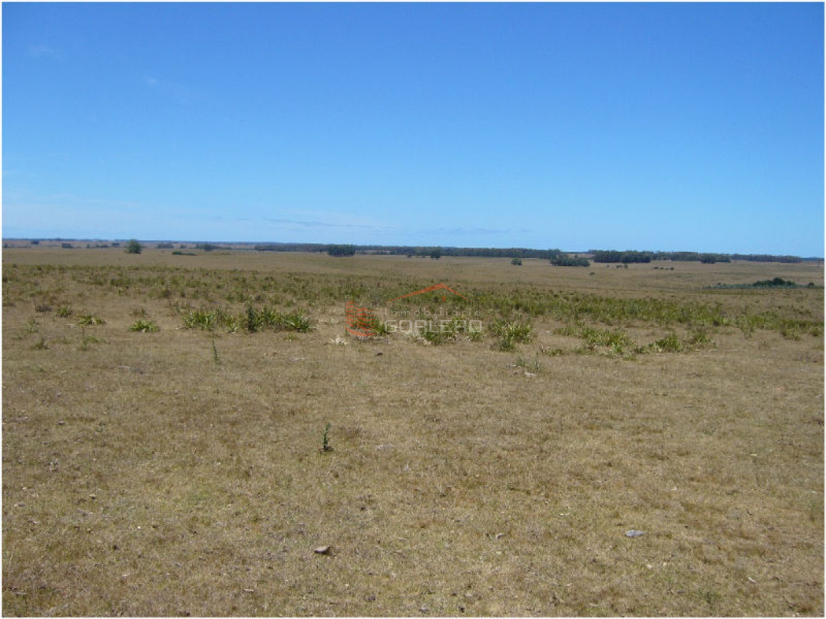 Campo en Uruguay, José Ignacio - GoPunta - Portal Inmobiliario de Punta del Este - Maldonado